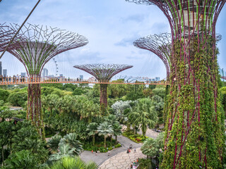 Vue générale de la baie de Singapour