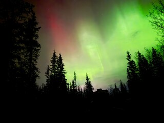 Fototapeta premium Colorful aurora amongst trees and lone building