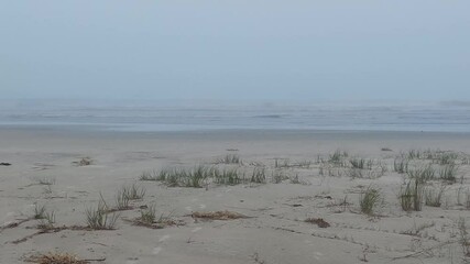 foggy on the beach