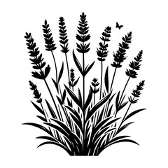 lavender plant  silhouette