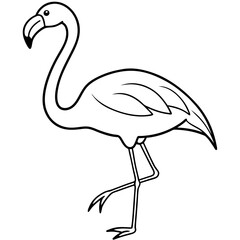  Flamingo