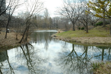 反射する中島公園の池