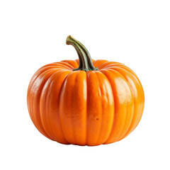 Vibrant Orange Pumpkin with Distinctive Ridges and Stem.