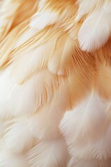 Obraz premium A close-up view of birds feathers with intricate details