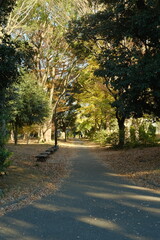 駒沢公園の秋