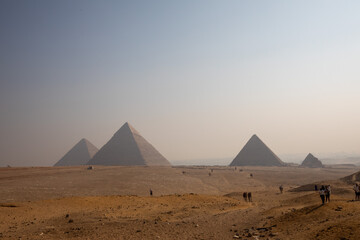 Giza 49