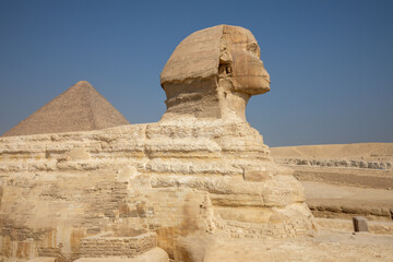 Giza 33