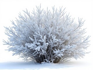 Fototapeta premium A large bush covered with a thick layer of frost, standing alone in a snowy field, surrounded by white snow under a clear winter sky