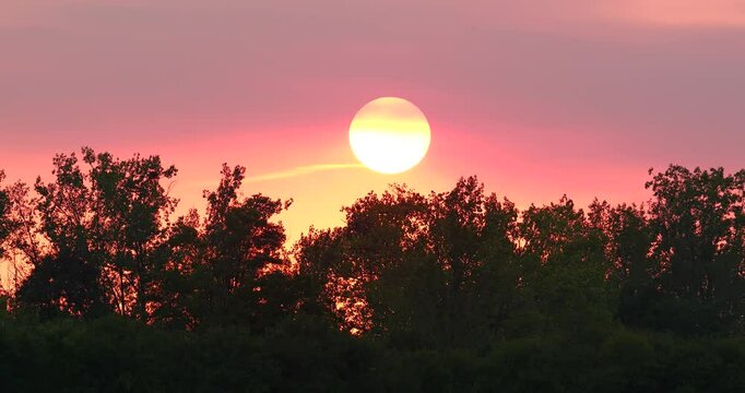 Beautiful orange coloured golden hour sunset with trees swaing in the wind
