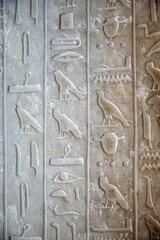 Giza 8
