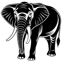 elephant isolated on white background