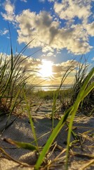 Golden sunlight streaming over the beach through lush grass in a serene coastal landscape