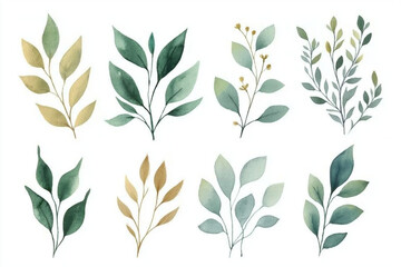 Fototapeta premium Watercolor floral illustration 