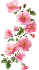 Fototapeta premium Delicate pink roses bloom gracefully against a soft white background in springtime splendor