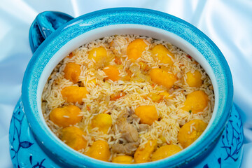 Traditional Brazilian dish chicken with pequi (caryocar brasiliense) and rice