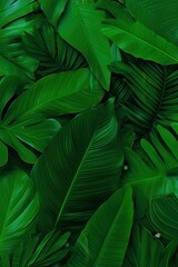 green leaves background