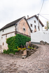 a small house with a white roof and a green wall.  Aribe , Navarra