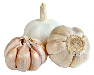 raw garlic isolated