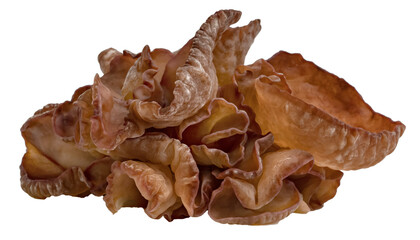 ear mushroom or Jew's ear isolated