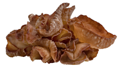 ear mushroom or Jew's ear isolated