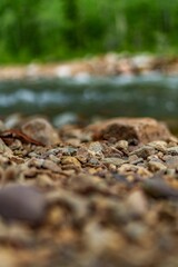 Green forest with selective focus on plants, rocks, and a river in the Rocky Mountains, Colorado