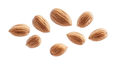 walnut on transparent background 
