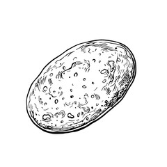 Pancake. Vector graphic drawing of a pancake. A black and white hand-drawn illustration of food. On a white background. Great for a menu, poster or label. As well as for cooking recipes and invitation