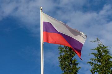 Waving Russian flag amidst a clear blue sky and verdant trees on a sunny day, symbolizing national pride and unity