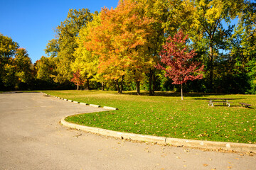 autumn landscape with trees grass and pavement with curb shot in city of ottawa riverside park