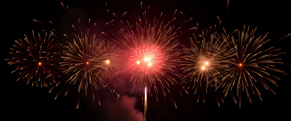 Fototapeta premium Fireworks exploding in a dark night sky