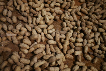 close up of peanuts, harvest, texture
