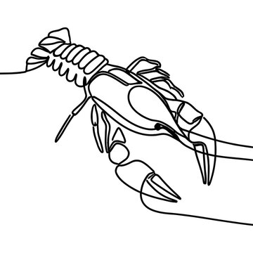 recommend clip art: line drawing of lobster crayfish