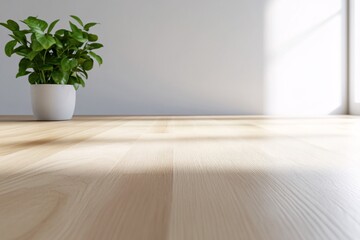 Minimalist Interior Design with Wooden Floor and Sunlight