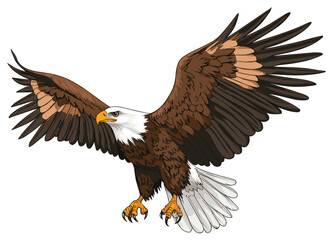 Fototapeta premium Majestic Bald Eagle in Flight - Colorful Vector Illustration