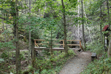 Wooden bridge on the hiking trail from Tatranska Matliare to Tatranska Lomnica in the High Tatras, Slovakia. 