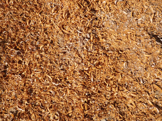 Pile of wood shavings and sawdust texture