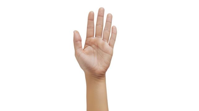 A raised hand greeting on a white isolated background Transparent background