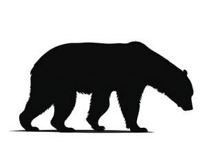 Fototapeta premium Silhouette of a black bear walking, isolated on a plain background, showcasing its strong and majestic form