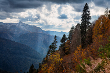 Autumn in the mountains