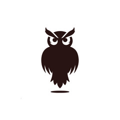 Mysterious Owl Silhouette in Flight
