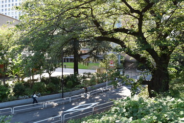 都会のオアシス