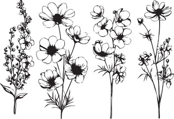 Flowers, plants set silhouette isolated vector