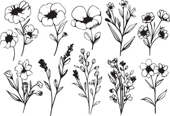 Flowers, plants set silhouette isolated vector