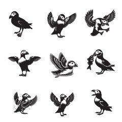 Obraz premium Collection of Atlantic puffin Vector illustration - Atlantic puffin Bird Silhouette Design