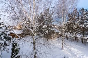 Panorama of a private territory with a picturesque winter landscape. Snow-covered .trees in the sun.