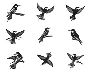 Obraz premium Collection of European bee-eater Vector illustration - European bee-eater Bird Silhouette Design