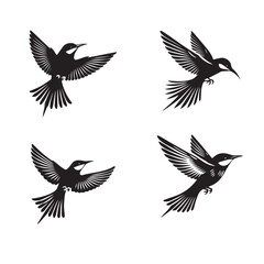 Fototapeta premium Collection of European bee-eater Vector illustration - European bee-eater Bird Silhouette Design