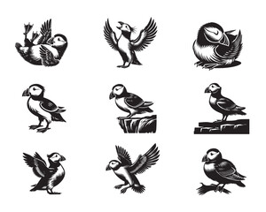 Obraz premium Collection of Horned puffin Vector illustration in black and white