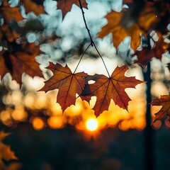 autumn is the season of the year