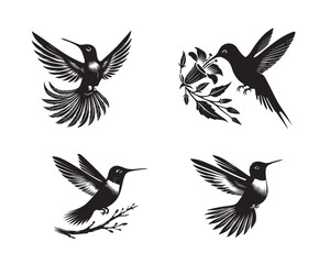 Fototapeta premium Collection of Hummingbird Clipart design, Hummingbird Vector illustration in black and white 